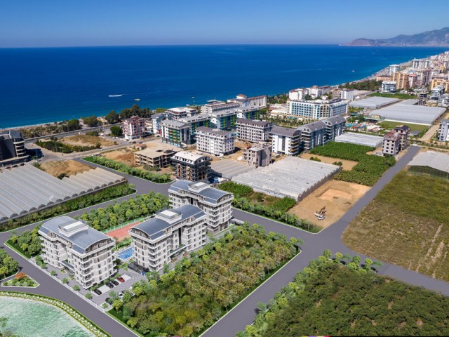 MONARCH RİVER