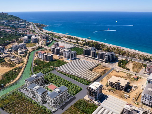 MONARCH RİVER