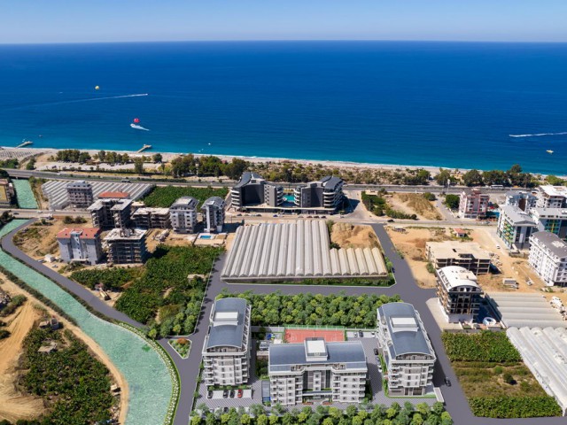 MONARCH RİVER